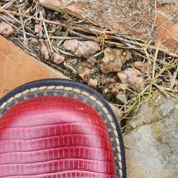 ARIAT Gembaby Boots Red Ruby Pearlized Lizard - Women's Size 10 Cowgirl Boots - Picture 9 of 11